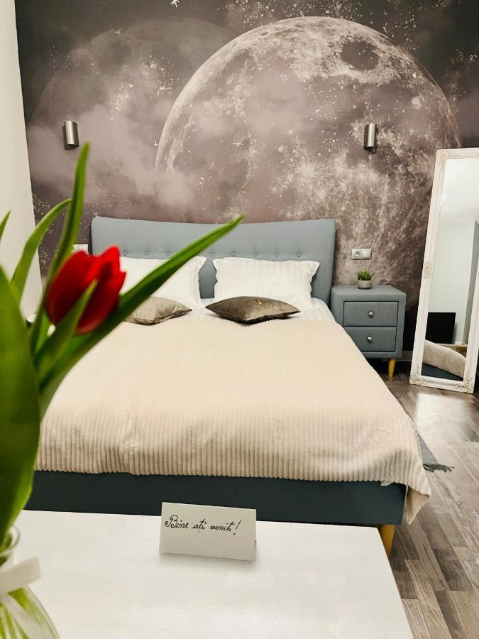Moon And Sun Apartments Sibiu Dış mekan fotoğraf
