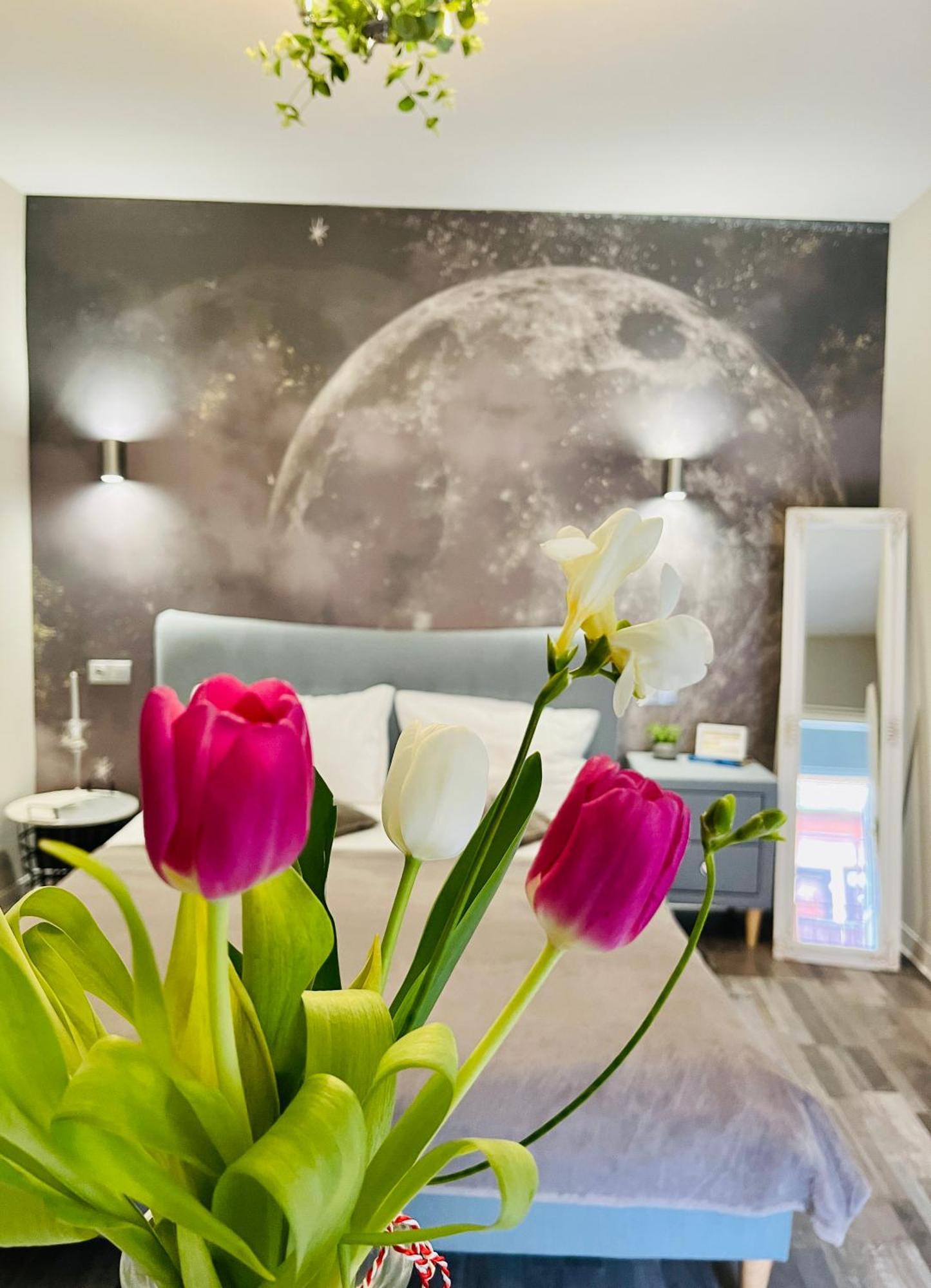 Moon And Sun Apartments Sibiu Dış mekan fotoğraf