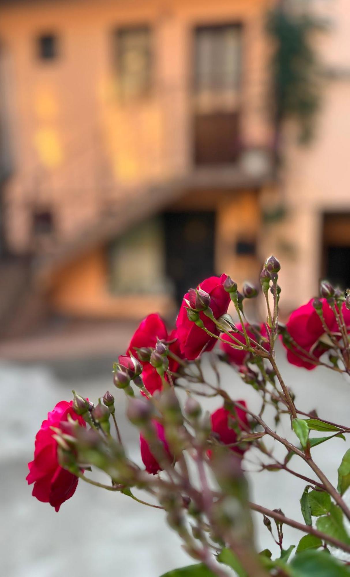 Moon And Sun Apartments Sibiu Dış mekan fotoğraf
