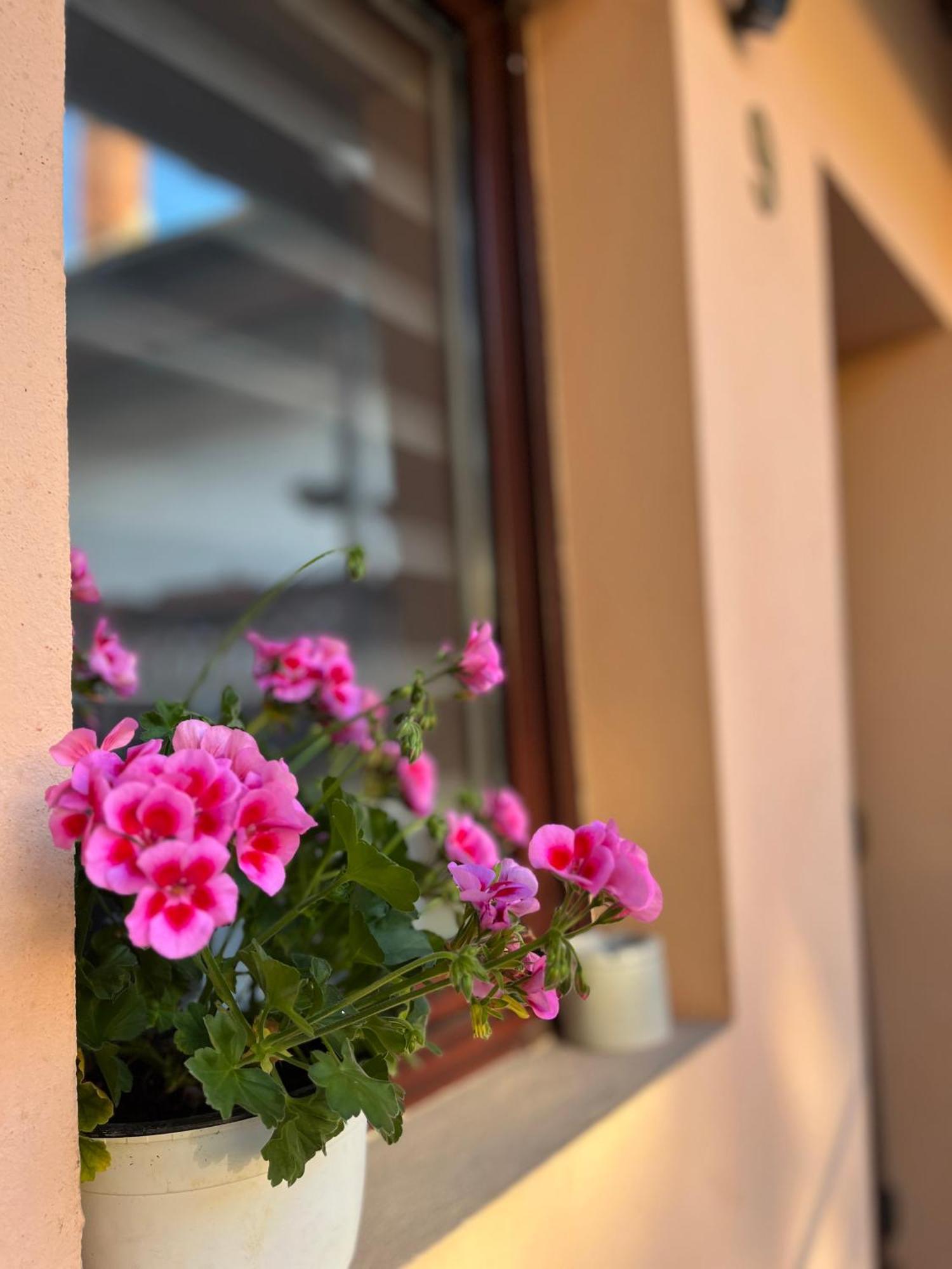 Moon And Sun Apartments Sibiu Dış mekan fotoğraf